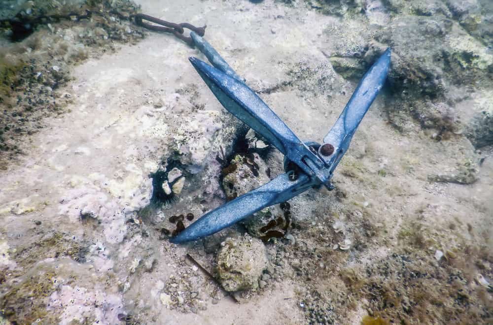 Reef Anchors